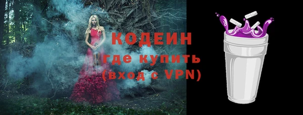 ГАЛЛЮЦИНОГЕННЫЕ ГРИБЫ Верея