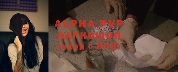 ГАЛЛЮЦИНОГЕННЫЕ ГРИБЫ Верея