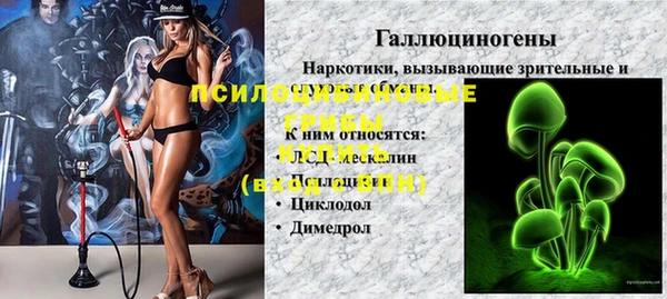 ГАЛЛЮЦИНОГЕННЫЕ ГРИБЫ Верея