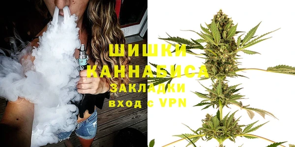 ГАЛЛЮЦИНОГЕННЫЕ ГРИБЫ Верея