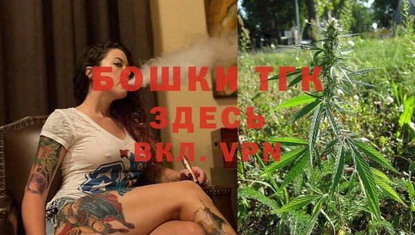 ГАЛЛЮЦИНОГЕННЫЕ ГРИБЫ Верея