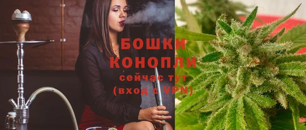 ГАЛЛЮЦИНОГЕННЫЕ ГРИБЫ Верея