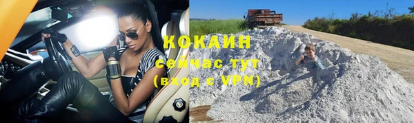 ГАЛЛЮЦИНОГЕННЫЕ ГРИБЫ Верея