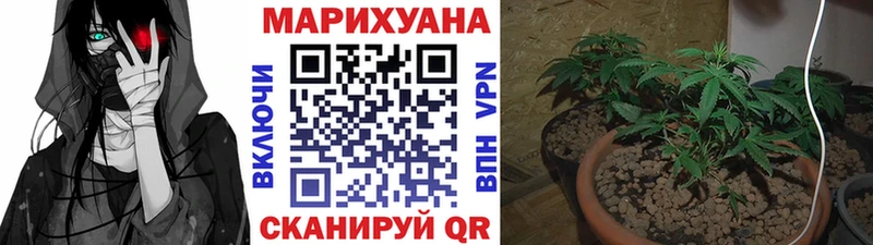 купить   Карпинск  Бошки Шишки THC 21% 
